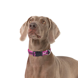 Rogz Fancy Dress Dog Collars Pink Love Lifestyle Image