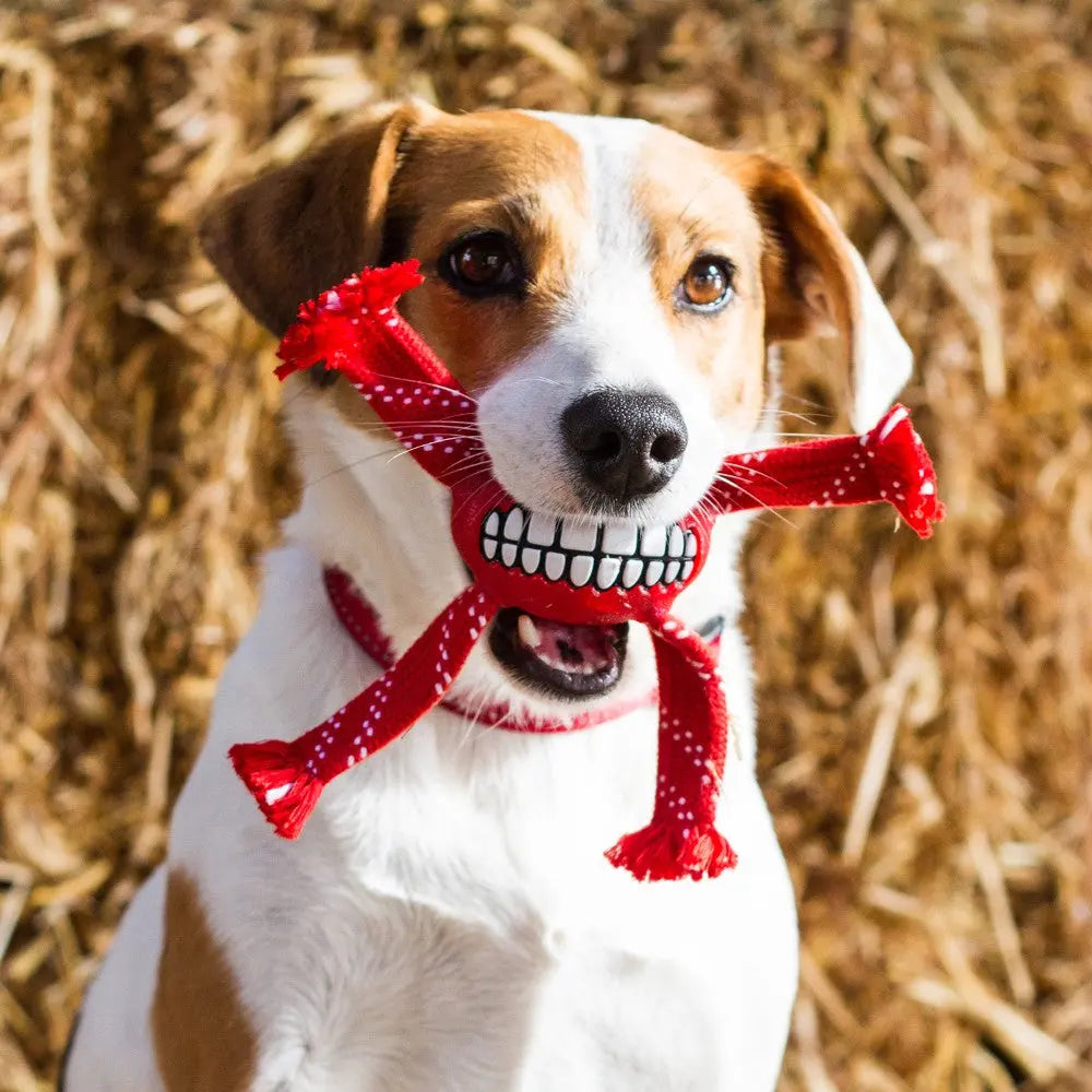 Rogz Flossy Grinz dog oral care product image