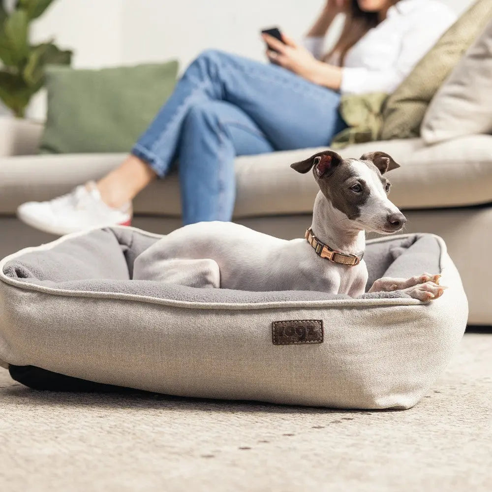 Rogz Urban Classic Collar product image showcasing a stylish dog collar