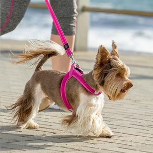 Rogz Utility Reflective Fast Fit Dog Harness Pink Lifestyle