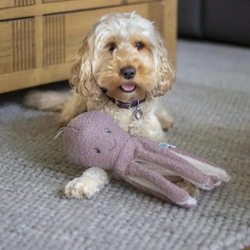 Cute dog playing with a plush octopus toy on a cozy carpet.