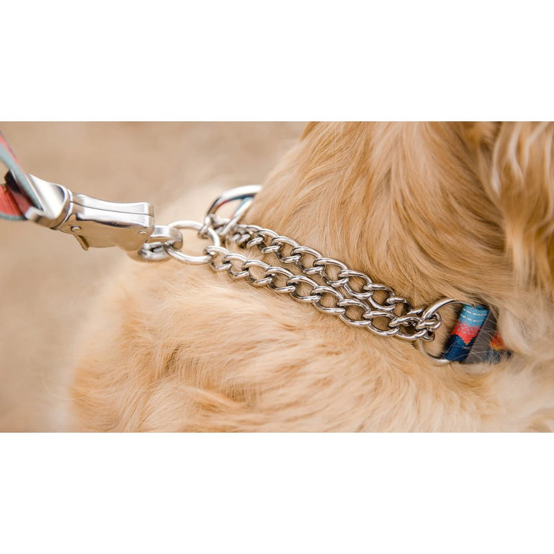 Choke chain collar leash attachment best sale