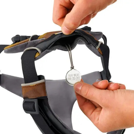 Dog harness with adjustable straps and ID tag attachment for secure fit and safety.