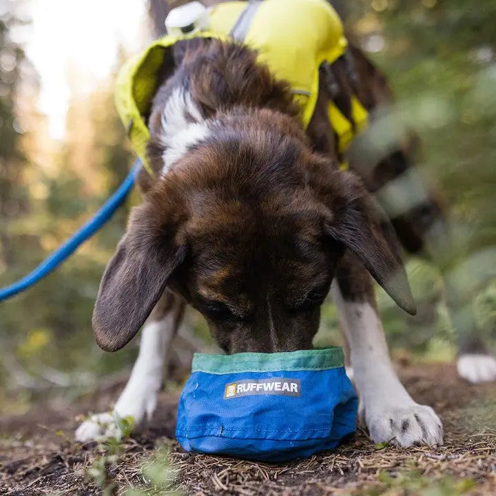 Ruffwear Trail Runner Ultralight Dog Bowl - lifestyle image with pet South Africa orders