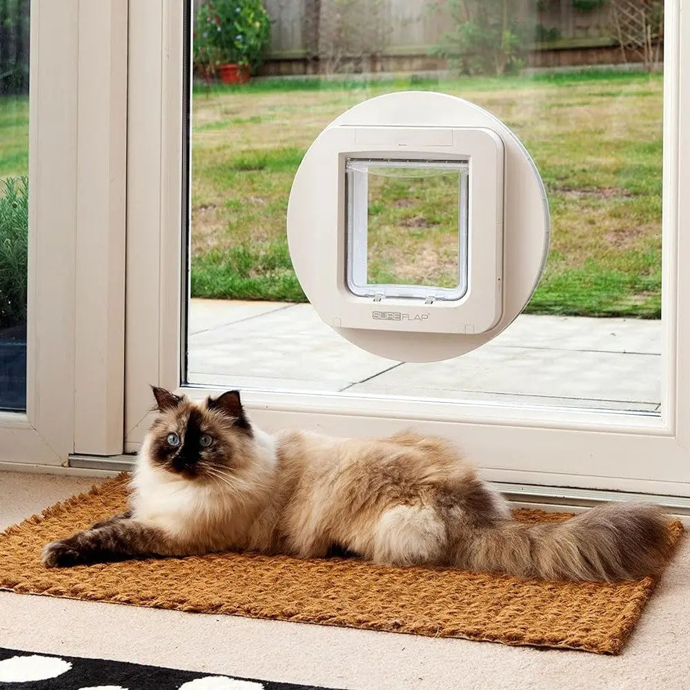 Cat lounging by a pet door, enjoying the view of the garden outside.