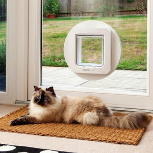 Sureflap Microchip Pet Door Lifestyle Image With Cat