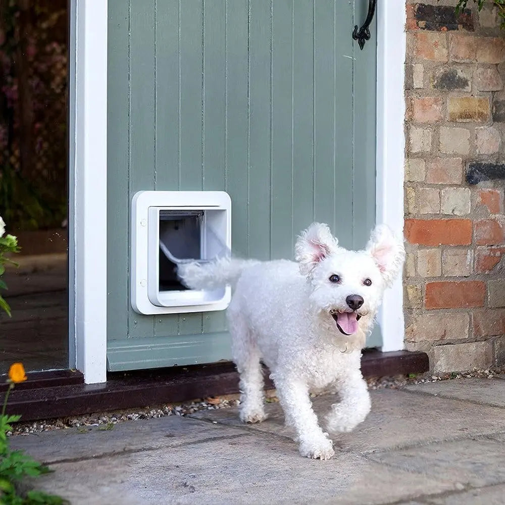 Happy white dog exiting through a pet door on a charming green garden door.