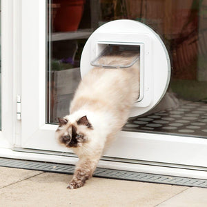 Sureflap Pet Door Mounting Adapter White Lifestyle Image with Cat
