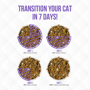 Weruva Canned Cat Food - Steak Frites How to Transition Your Cat in 7 Days