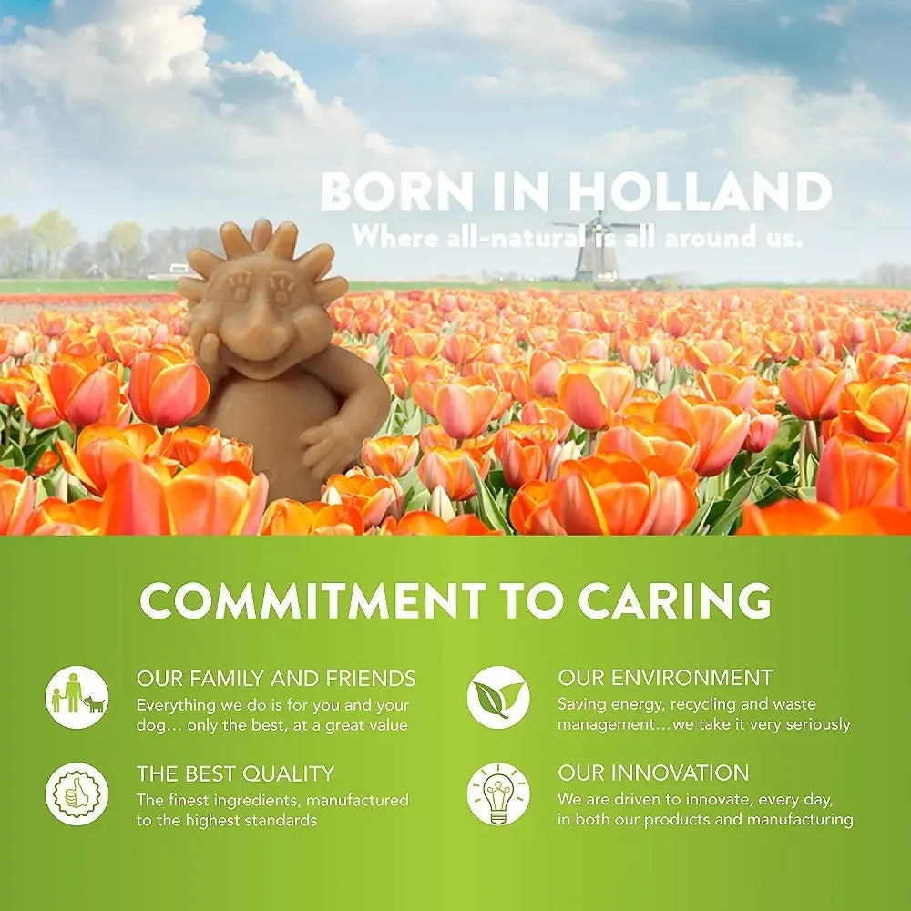 Playful character among vibrant tulips, promoting all-natural products from Holland.