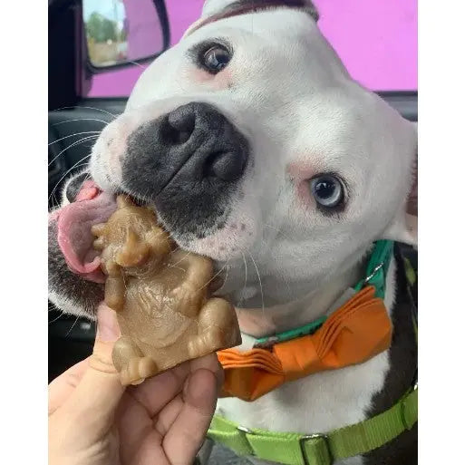 Dog happily chewing on a tasty treat shaped like a cartoon character.