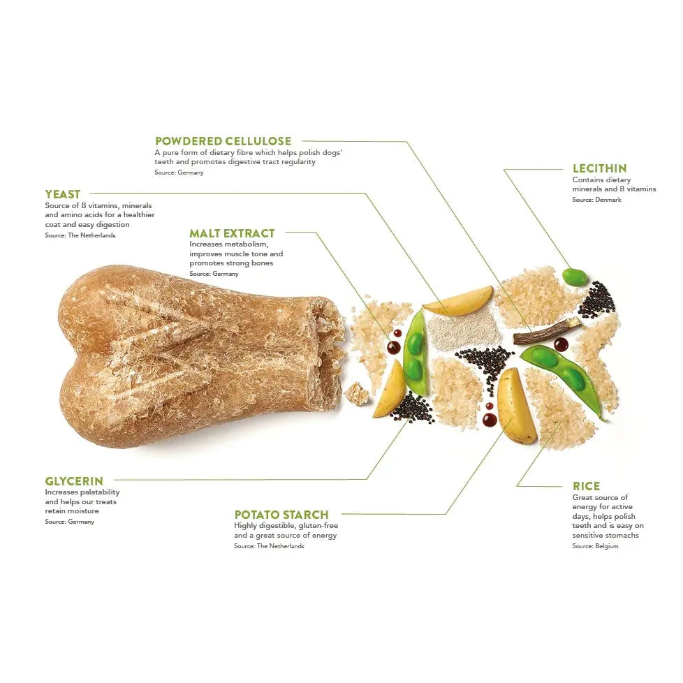 Dog treat ingredients infographic featuring yeast, malt extract, and rice.