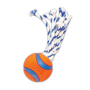 Durable dog toy with a rubber ball and braided rope for interactive play and tugging fun.