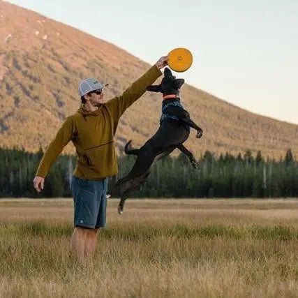 Man playing fetch with a dog in a scenic field, showcasing outdoor fun and pet bonding.