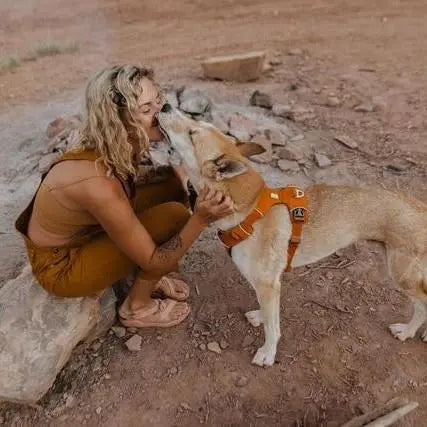 Woman and dog sharing a loving moment outdoors by a campfire.