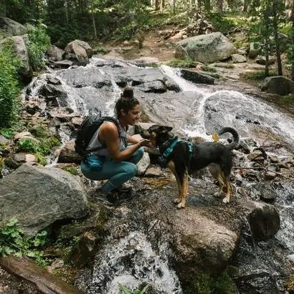 Woman and dog enjoying a hike by a flowing stream in a lush, natural setting.