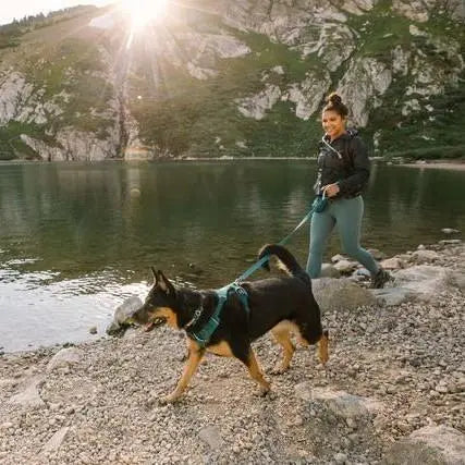Woman walking a dog by a scenic lake, enjoying nature and outdoor adventure.