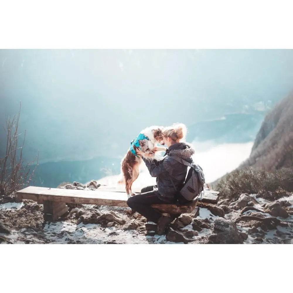 Person and dog sharing a joyful moment outdoors in a scenic mountain setting.