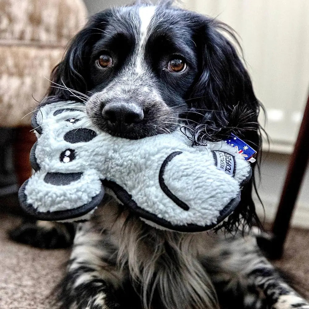 Playful dog holding a soft plush toy, showcasing its adorable expression and furry coat.
