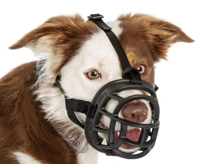 Dog muzzle for safe training and behavior control, featuring a comfortable fit and secure design.