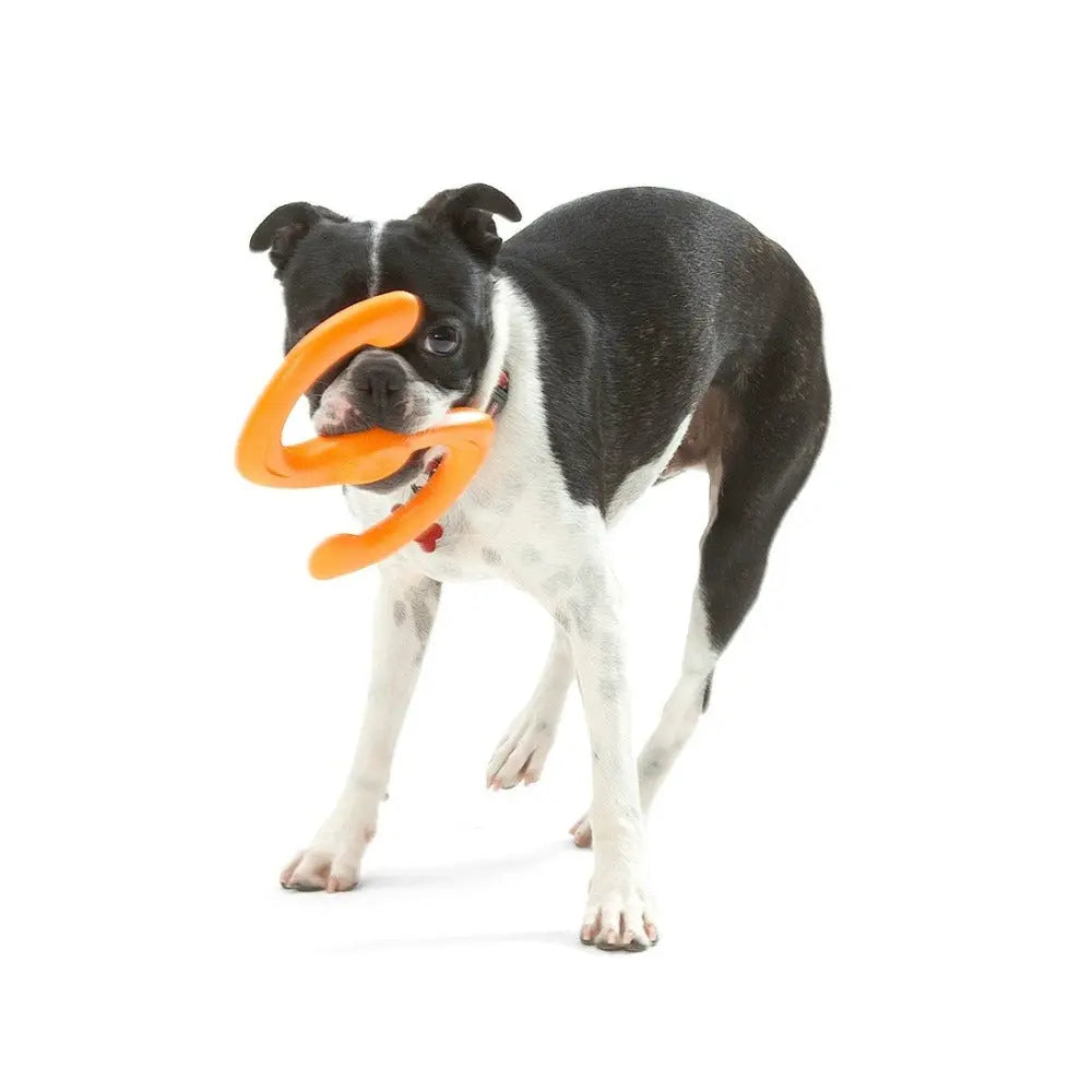 West Paw Bumi Dog Chew Toy   | Low Prices | Canine & Co