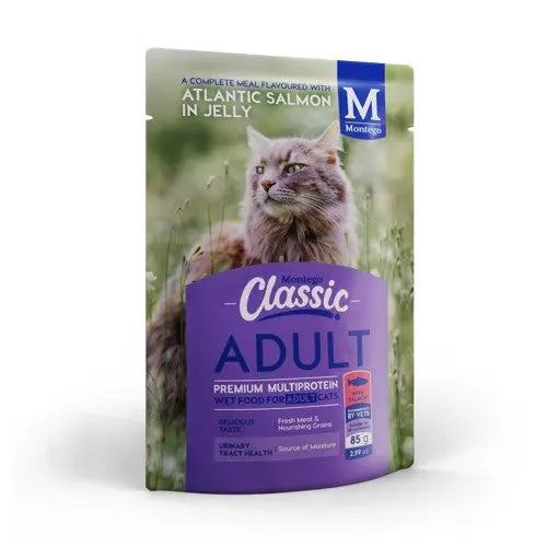 Montego Classic Adult Cat Wet Food - Salmon - lifestyle image with pet South Africa pets