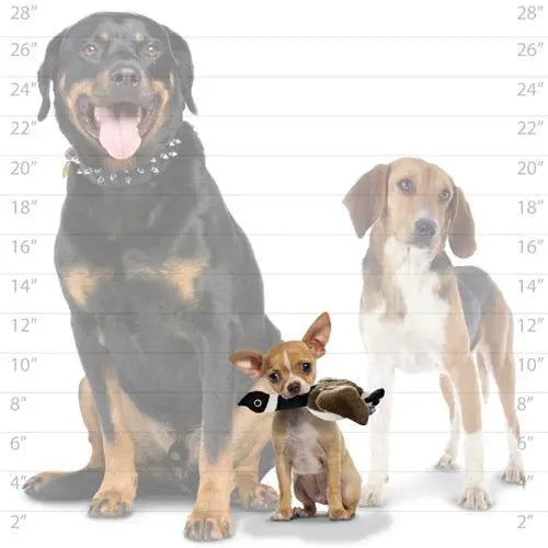 Mighty Nature Duck Plush Dog Toy   | Low Prices | Canine & Co