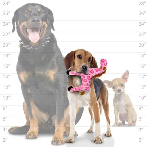 Three dogs of different breeds with a pink toy, showcasing size comparison and playful interaction.