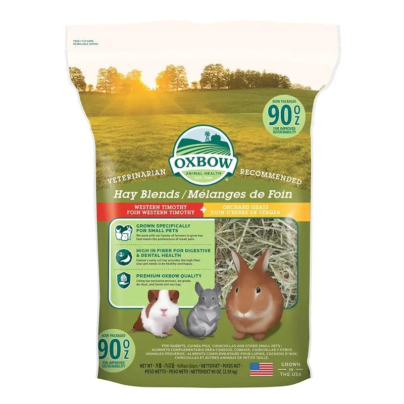 Oxbow hay blend for small pets, featuring Western Timothy and Orchard grass, promotes dental health and digestion.