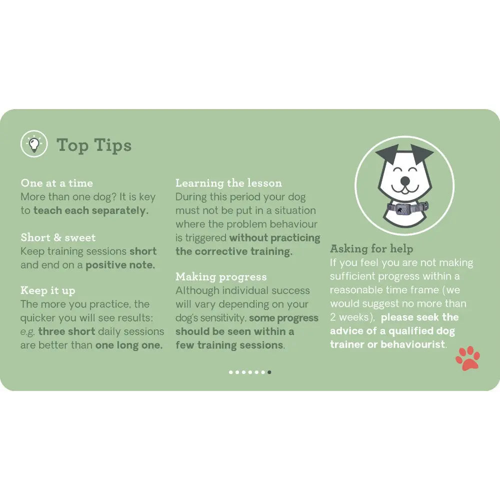 Dog training tips infographic with advice on teaching, progress, and seeking help from professionals.
