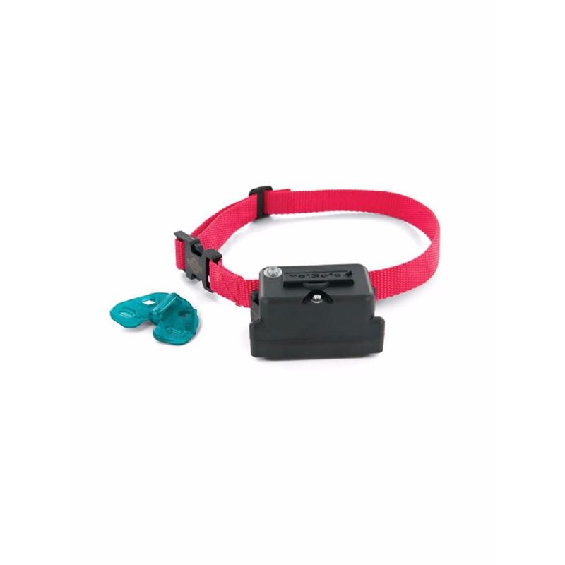 Stubborn dog collar sales