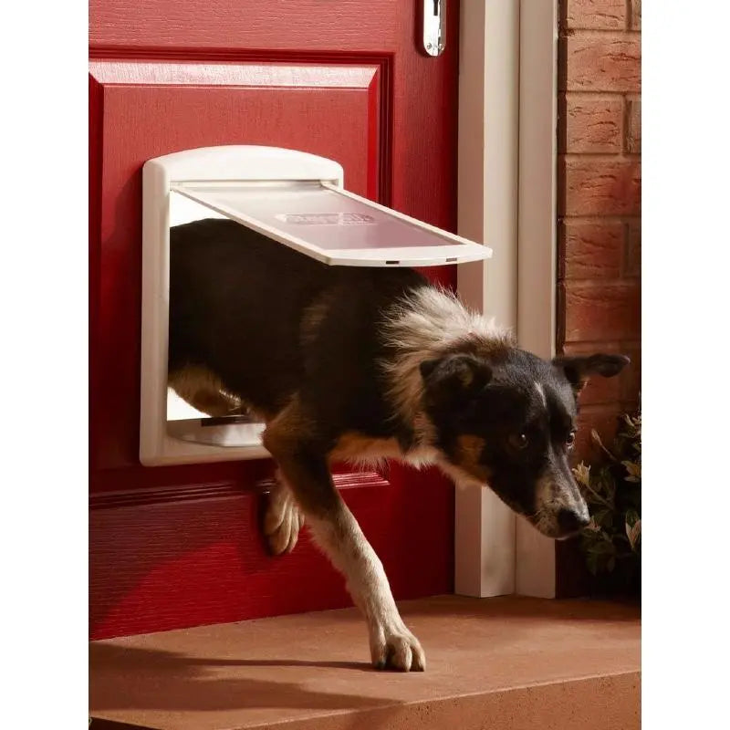 Dog using a pet door to enter a home, showcasing convenience and easy access for pets.