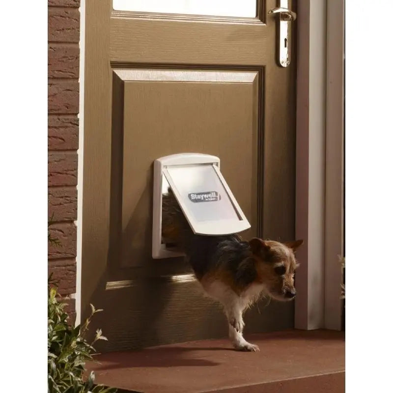 Dog using a pet door to enter a home, showcasing convenience and easy access for pets.