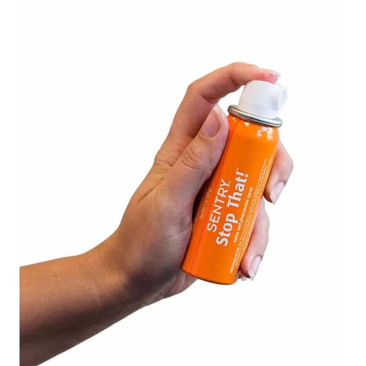 SENTRY Stop That! spray for training pets, featuring a bright orange canister for easy identification.