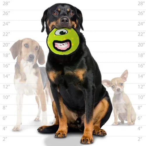 Rottweiler holding a green dog toy with a smiley face, surrounded by smaller dog breeds.