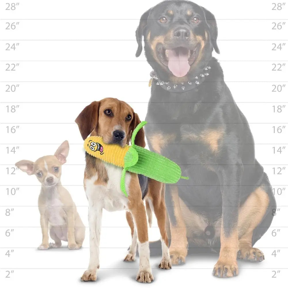 Three dogs of different sizes play with a colorful toy in a height chart backdrop.