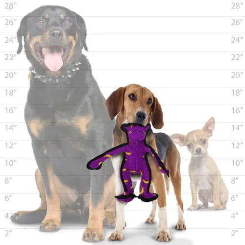 Three dogs of different sizes with a purple plush toy, showcasing pet size comparison and playtime fun.