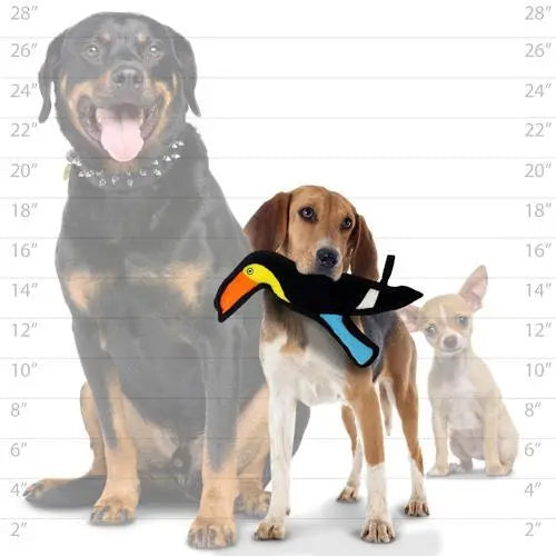 Beagle with a colorful toucan toy, surrounded by larger dogs for size comparison.