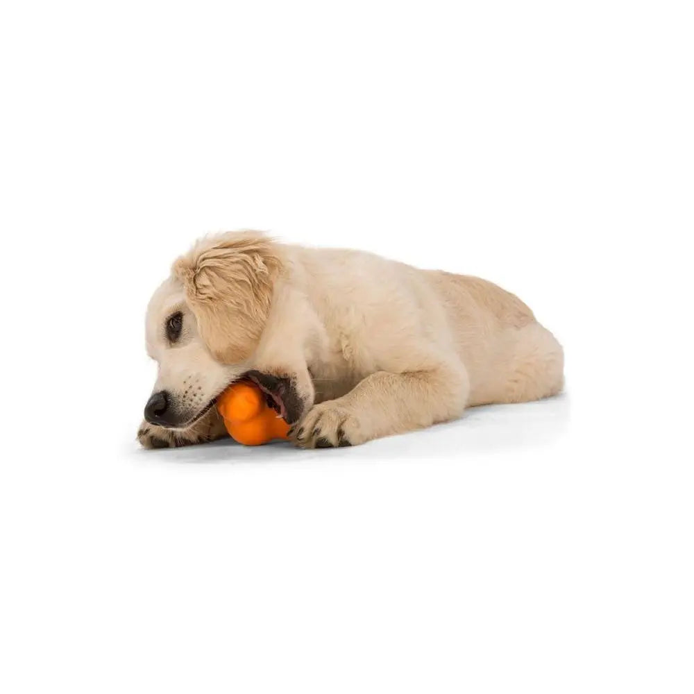 West Paw Tux Dog Chew Toy   | Low Prices | Canine & Co