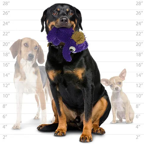 Mighty Microfiber Balls Elephant Dog Toys - product detail image South Africa retail