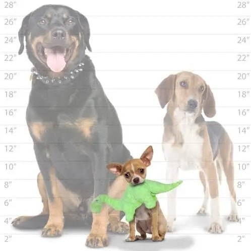 Three dogs of different sizes posing together, showcasing their playful personalities and unique features.