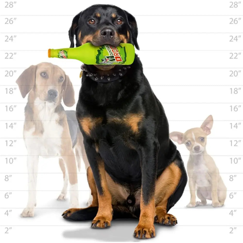 Silly Squeakers Soda Bottle Mountain Drool Dog Squeaker Toy