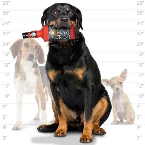 Silly Squeakers Liquor Bottle Bad Spaniels Dog Squeaker Toy