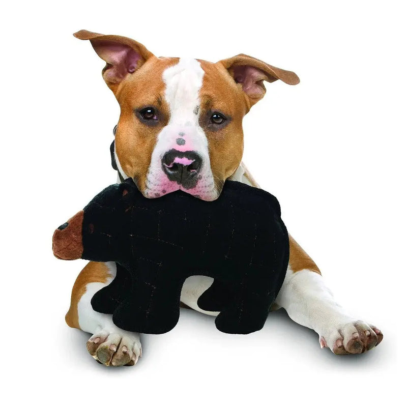 Tuffy Zoo Bear Buy Dog Toys Online Canine & Co