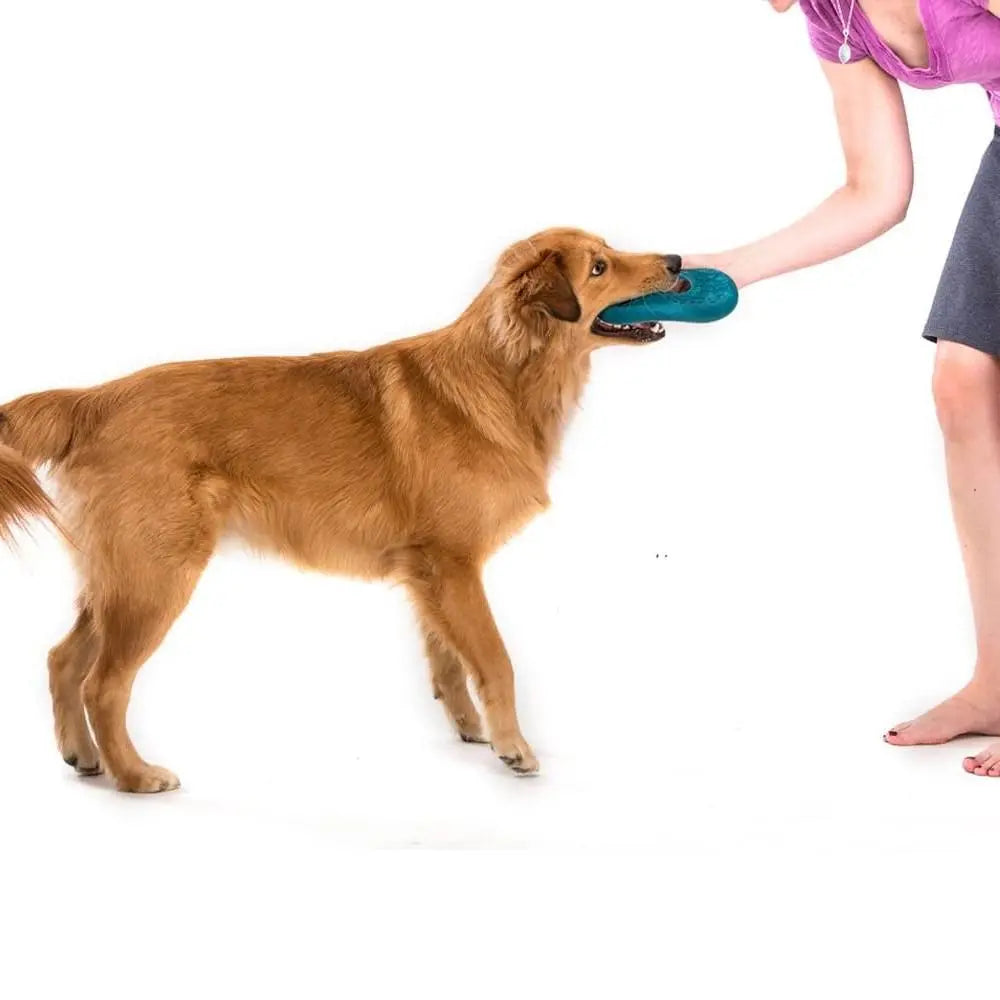 West Paw Zisc Dog Chew Toy   | Low Prices | Canine & Co