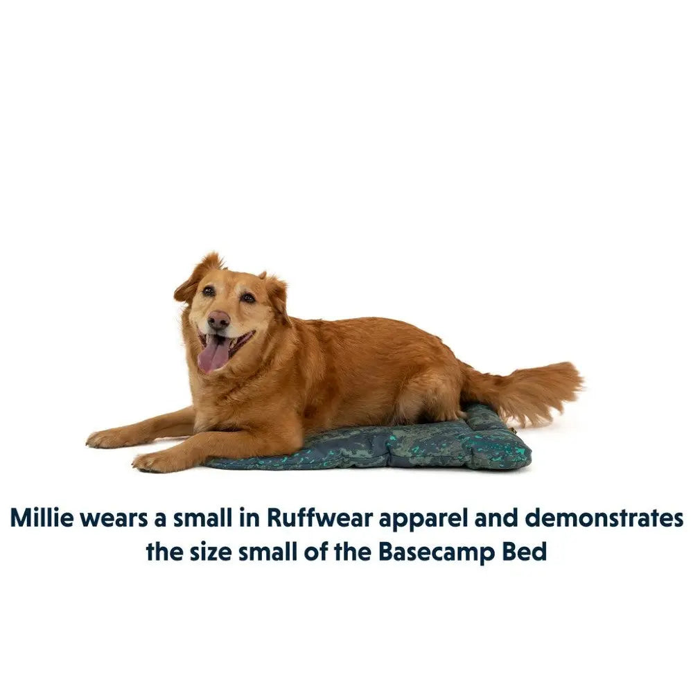 Golden retriever Millie relaxes on a Basecamp Bed, showcasing Ruffwear apparel in size small.