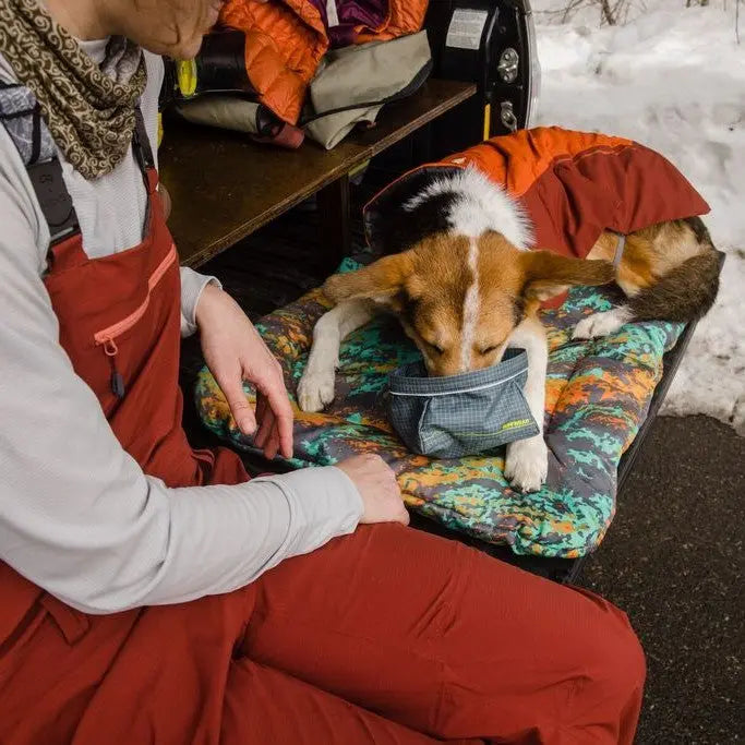 Dog enjoying a meal on a colorful camping mat beside a person in winter gear.
