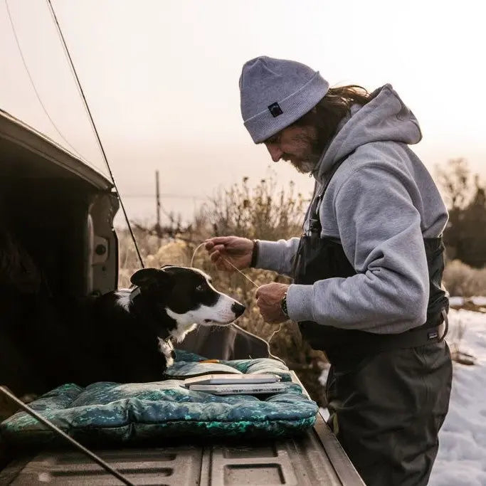 Man feeding a dog from a truck bed, showcasing a bond in a natural outdoor setting.