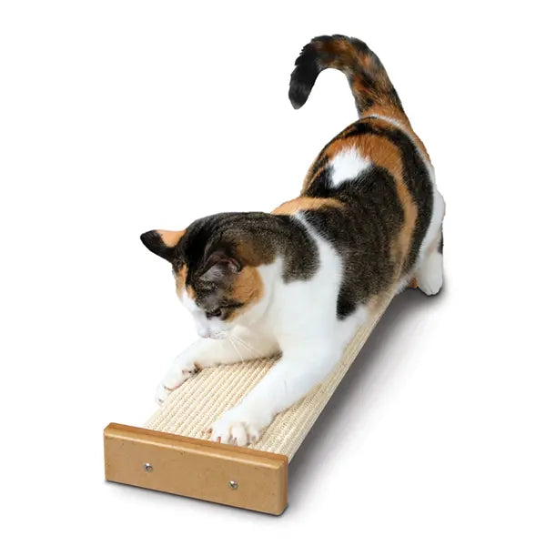 Cat scratching on a wooden scratcher, promoting healthy claw maintenance and playtime.