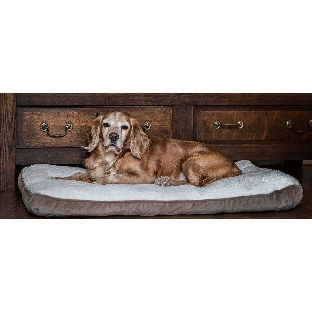 Golden retriever relaxing on a cozy dog bed in a warm, inviting home setting.